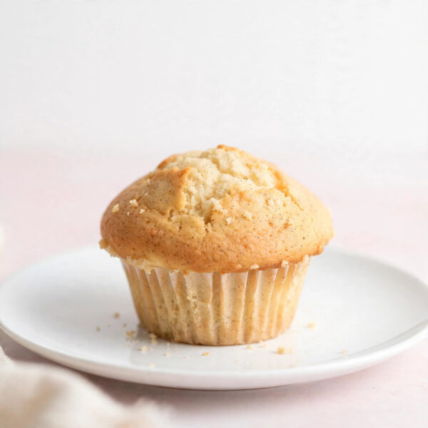 Vanilla Muffin